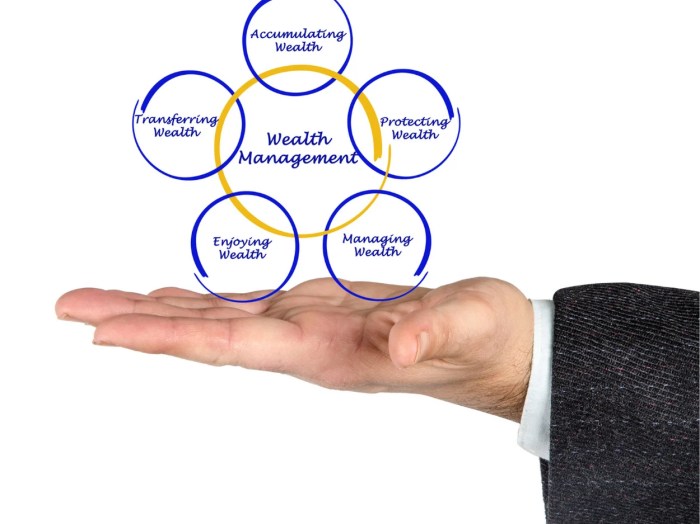 Wealth highlightstory